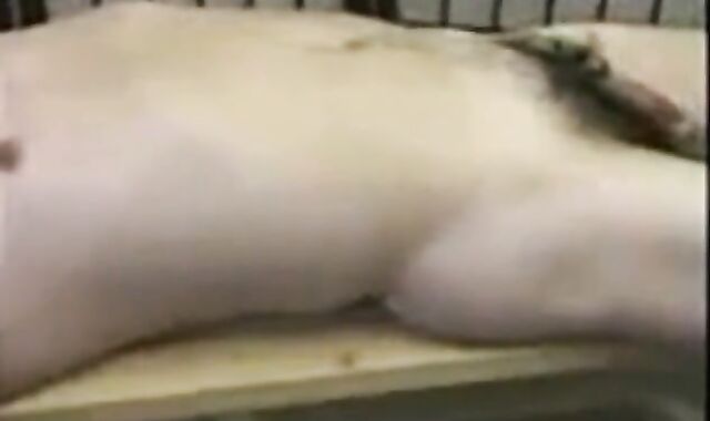 Amateur Asian Daddy's Happy Ending 2