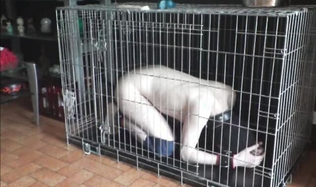 BDSM Porn HD scene 708