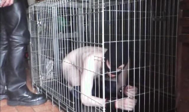 BDSM Porn HD scene 708