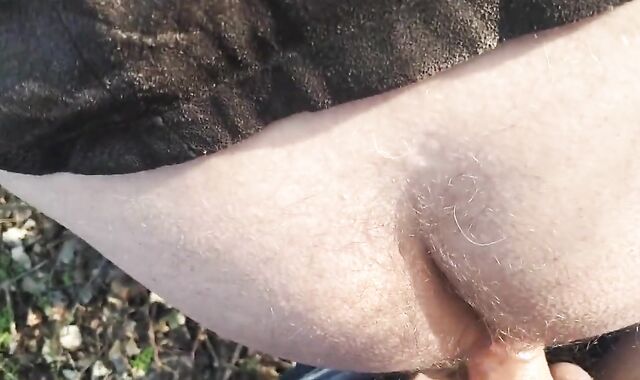 Outdoor Quickie with a Silver Fox in the Woods