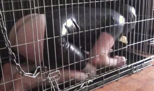 BDSM Porn HD scene 833