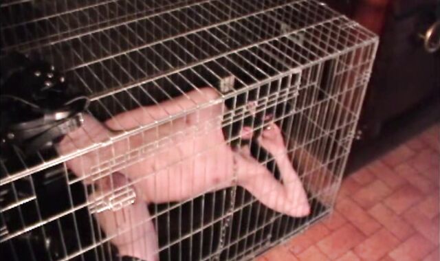 BDSM Porn HD scene 93