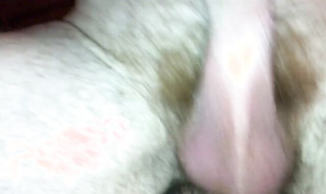 Married Daddy Rides Me Bareback