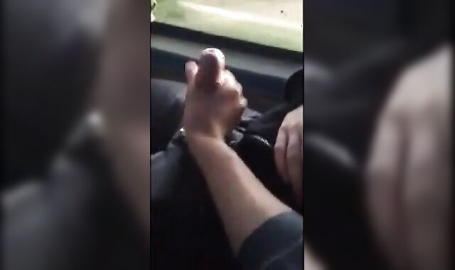 Big Dick Blowjob in a Bus 2