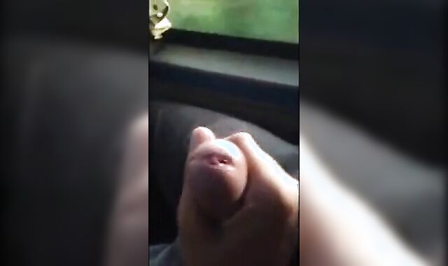 Big Dick Blowjob in a Bus 2