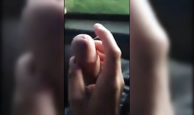 Big Dick Blowjob in a Bus 2