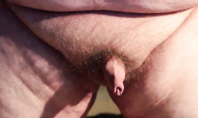 Chubby Guy's Little Joystick Swings Freely