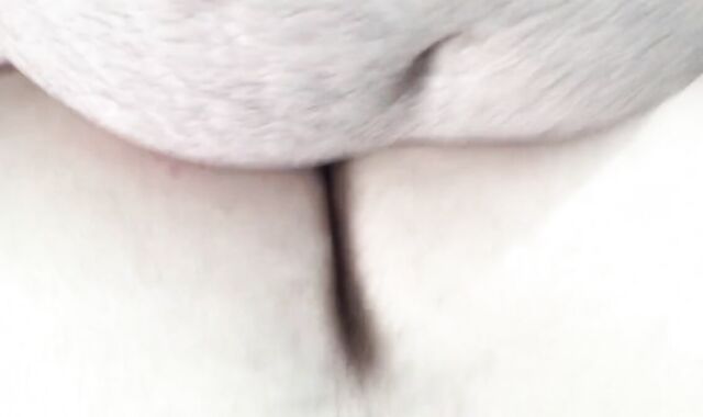 Barebacking a Chubby Bear 2