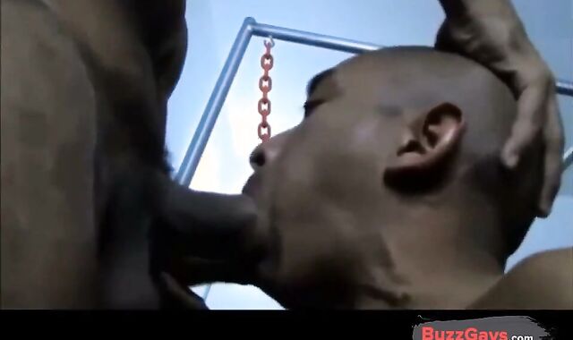 Bareback Amateur Takes on a Giant BBC 2