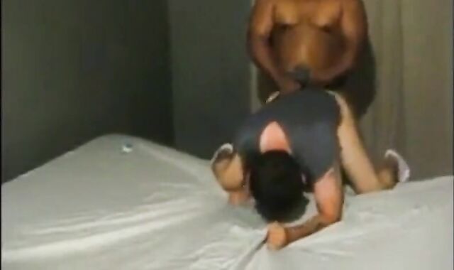 Black Stud Hammers White Chub