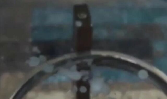 Giant Mushroom Dick - Hunk's Solo Play