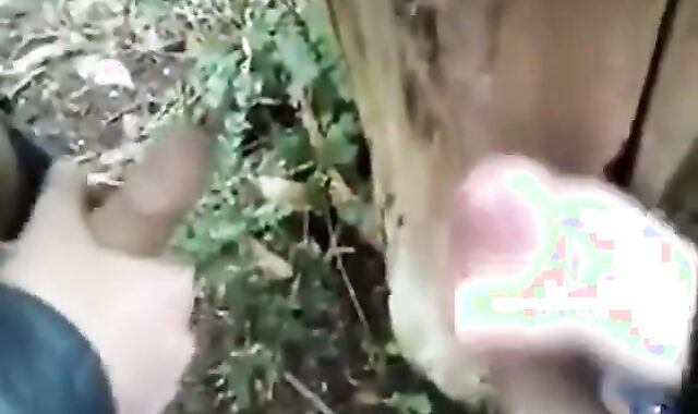 Outdoor Cruising Amateur Video