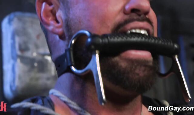 Two doms torment tied up stud