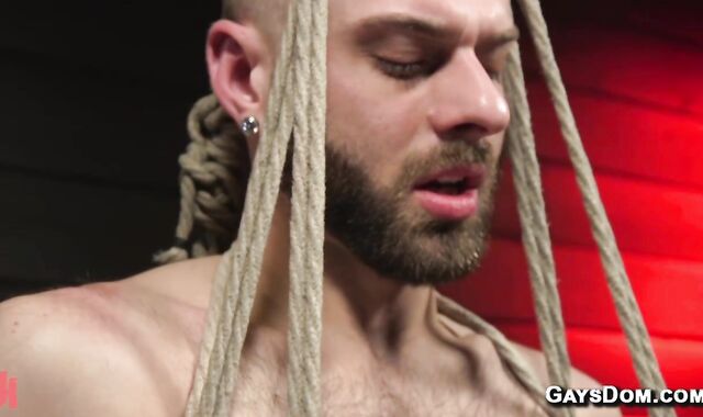 Newcomer gay is bound and suspended