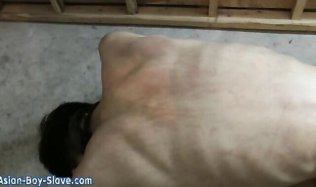 College Guy Nude BDSM