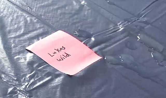 Bobby Lukas Xavier s Cumshot Contest