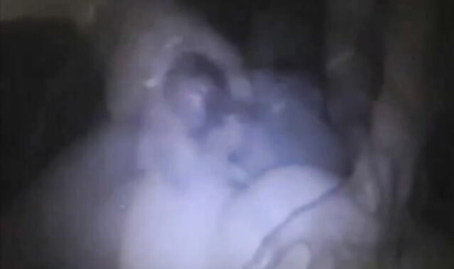 Big French Arabian Cock Barebacks