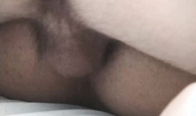 Xander Shapo Pierre Fitch