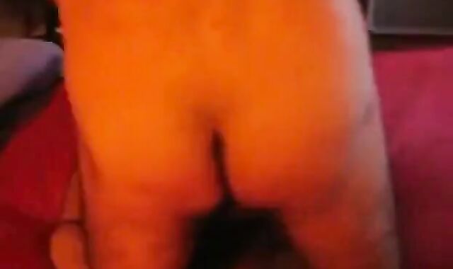 Amateur Bears: Dos Maduros 2