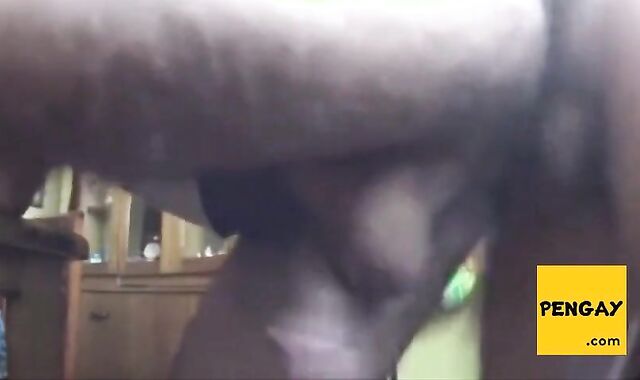 Bareback Bear Fucks Furry Ass