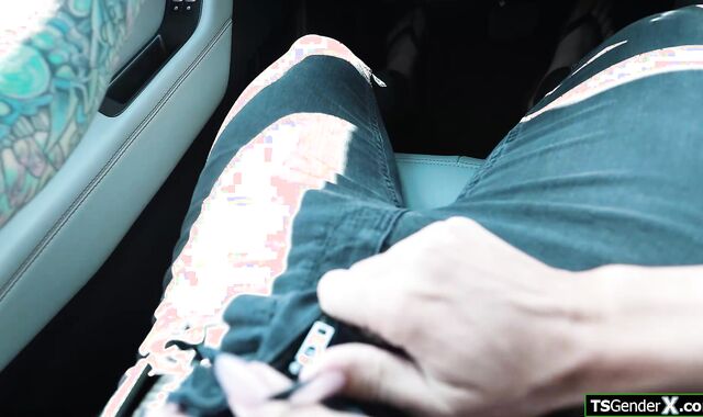 I picked me up a horny trans hitchhiker