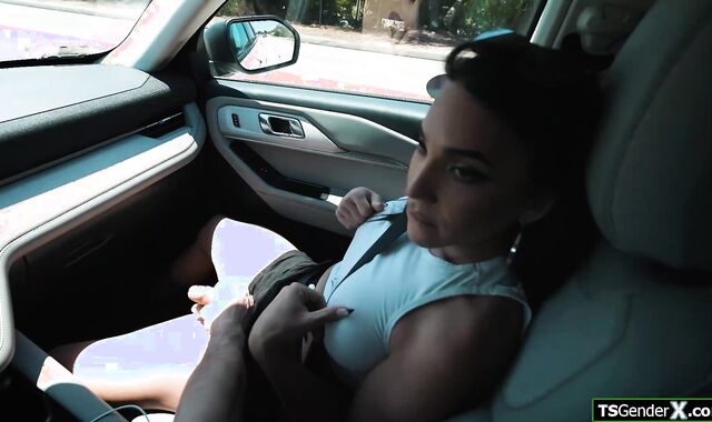 I picked me up a horny trans hitchhiker