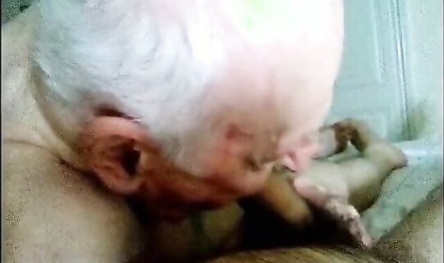 Grandpa's Secret Business with Young Man 4