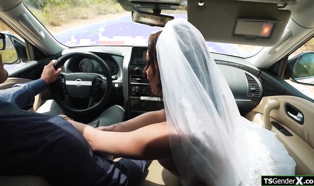 Busty trans hitchhiker is horny as fuck