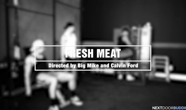 Next Door Mates: Alpha Masculines in Fever