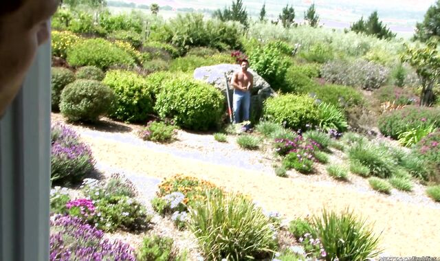 Next Door Pals: Garden Sweat and Gloppy Fever