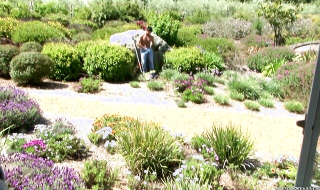 Next Door Pals: Garden Sweat and Gloppy Fever