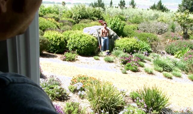 Next Door Pals: Garden Sweat and Gloppy Fever