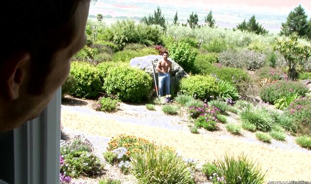 Next Door Pals: Garden Sweat and Gloppy Fever