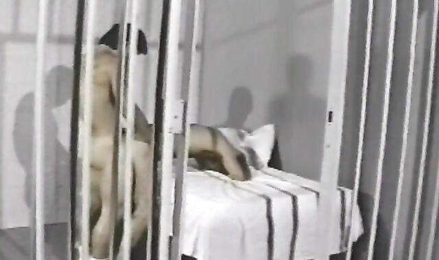 Shaggy Twink Group-Fucked In Prison Cage