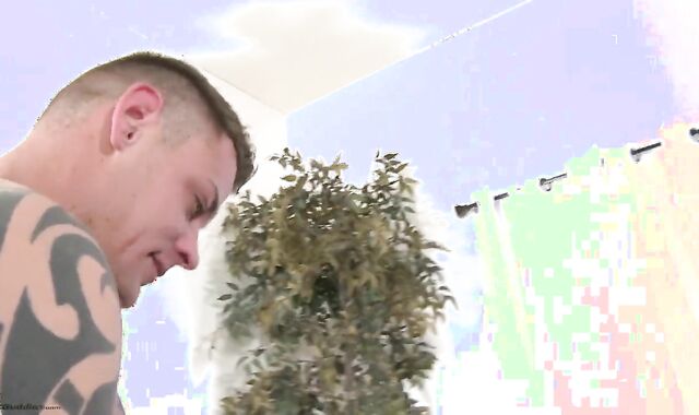 Brian And Jace Baitbuds