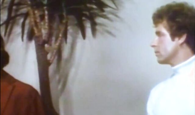 Fire Island Heat (1979) Accomplish flick