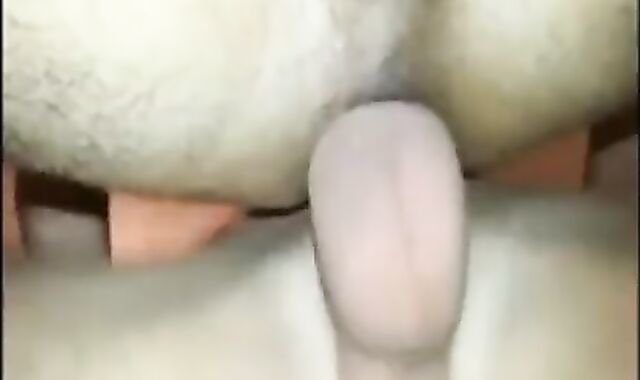 #11