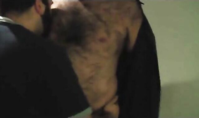 Bear Son's Cuddle with Daddy Bear