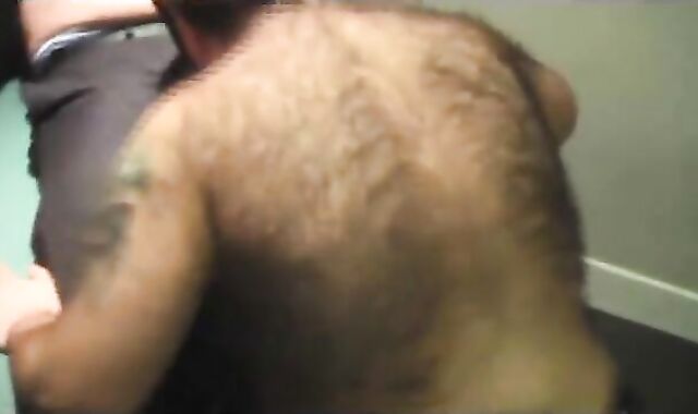 Bear Son's Cuddle with Daddy Bear