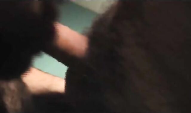 Bear Son's Cuddle with Daddy Bear