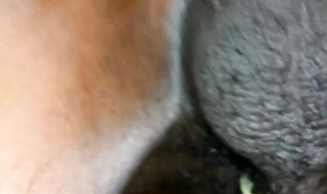 Mutual Fun in Nugegoda with Asian Amateurs