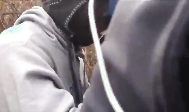 Three Gay Amateurs in the Woods