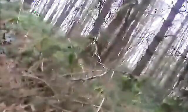 Bears Group Sex Outdoor