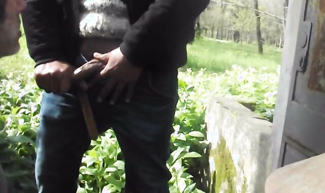 Amateur Gay Adult Video: Gypsy Cock