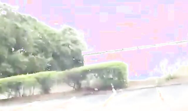 Black Guy Sucks Me Dry In His Car