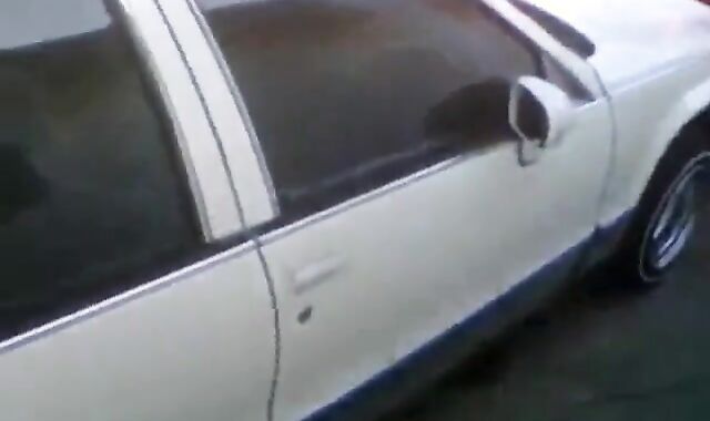 Huge Black Cock Masturbating and Cumming Outdoors