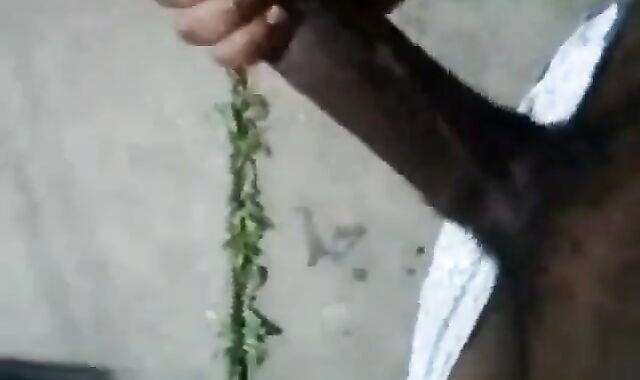 Huge Black Cock Masturbating and Cumming Outdoors