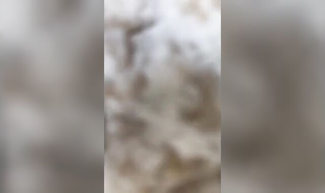 Crossdresser Bobbi's Blowjob at Work