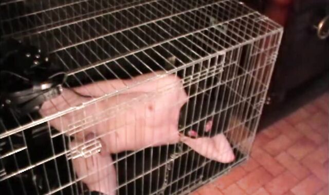 BDSM Porn HD scene 93 2