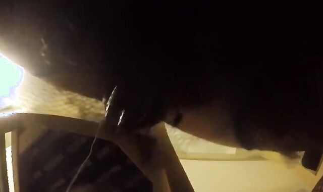 Thick CD Maid Pleases in Amateur Blowjob Video